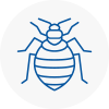 Bed Bug Extermination In South Ealing